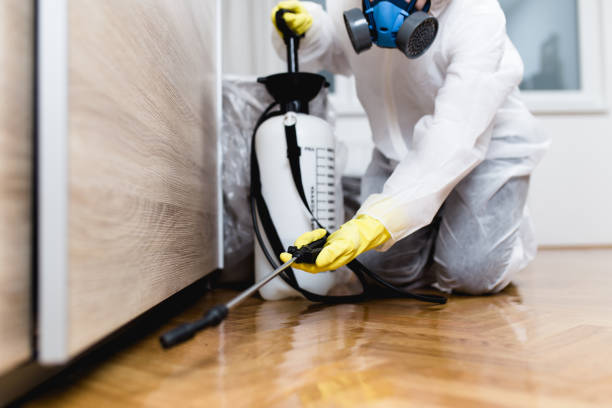 Best Bed Bug Extermination  in Alva, FL