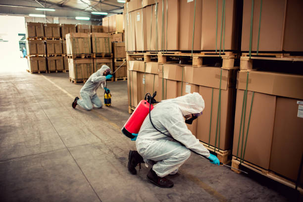 Best Affordable Pest Control Services  in Alva, FL