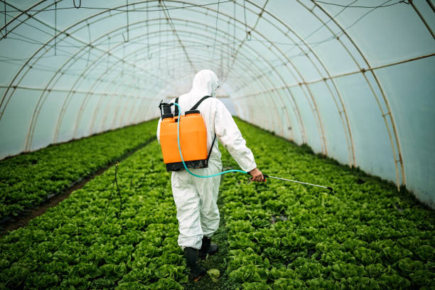Best Affordable Pest Control Services  in Alva, FL