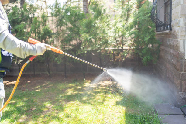 Professional Pest Control in Alva, FL