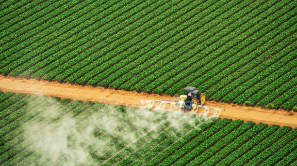Best Pest Control Near Me  in Alva, FL