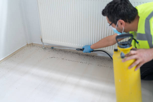Best Pest Inspection Near Me  in Alva, FL